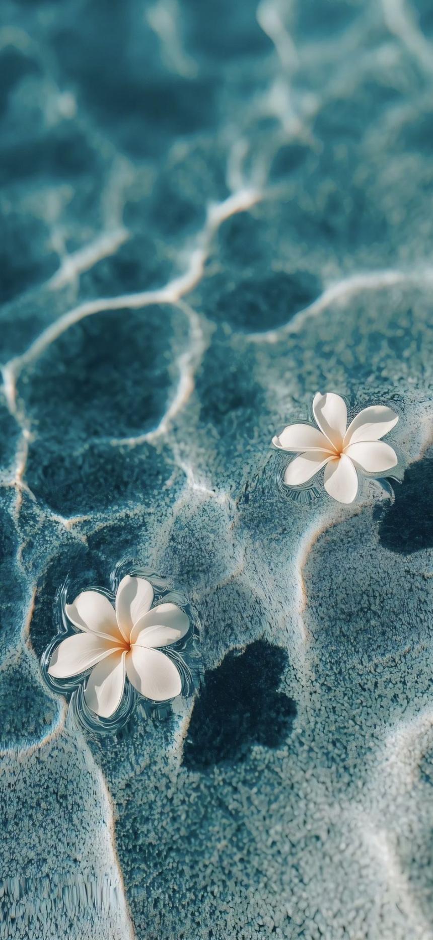 Aesthetic Wallpapers