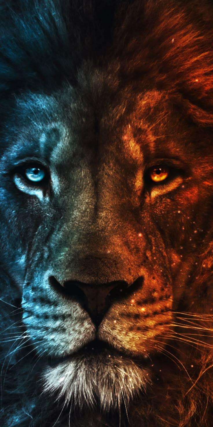 Dual Color Lion Blue Wallpaper