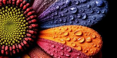 colorful-backgrounds