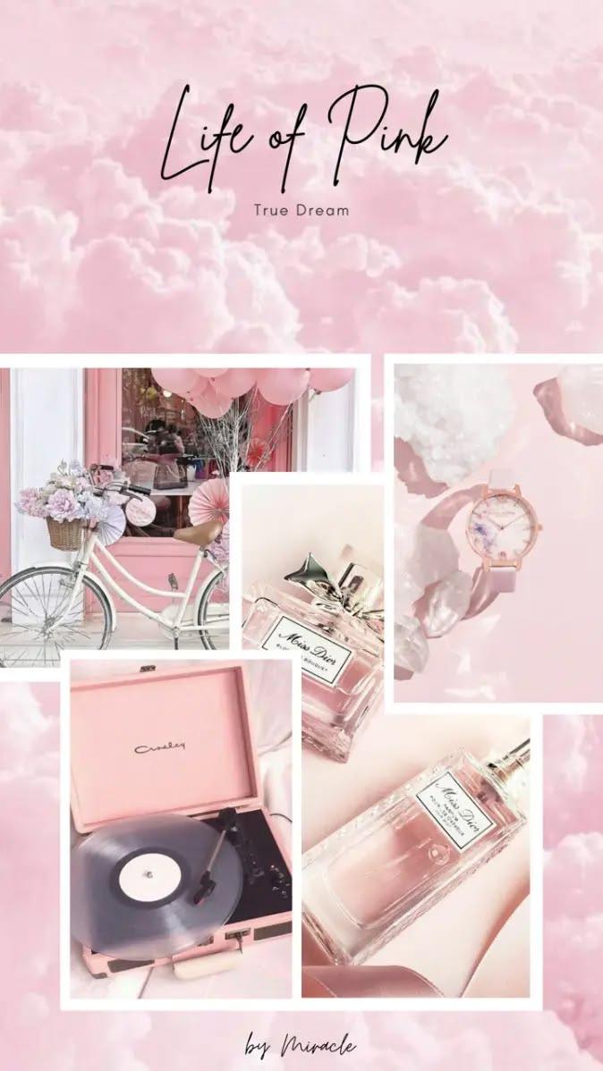 Dreamy Pink Bicycle and Accessories Wallpaper