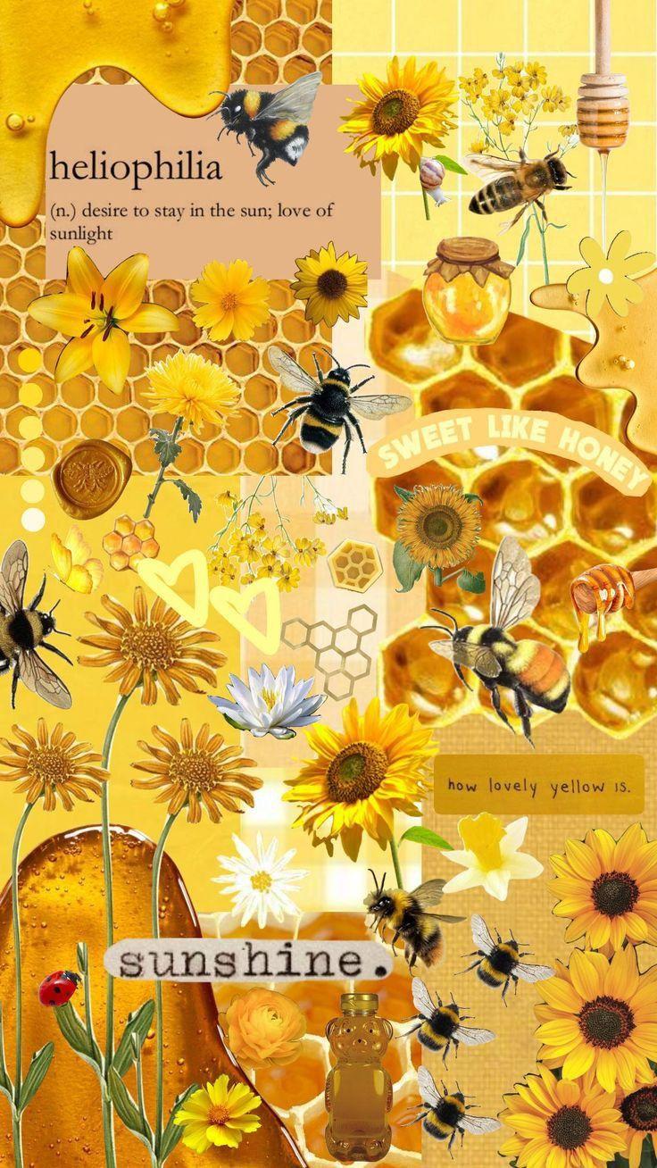 Bright Sunflower Bee Aesthetic Collage Wallpaper