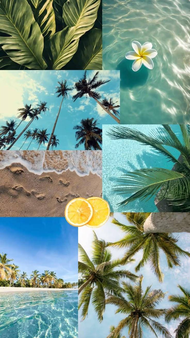 Summer Tropical Beach Aesthetic Wallpaper