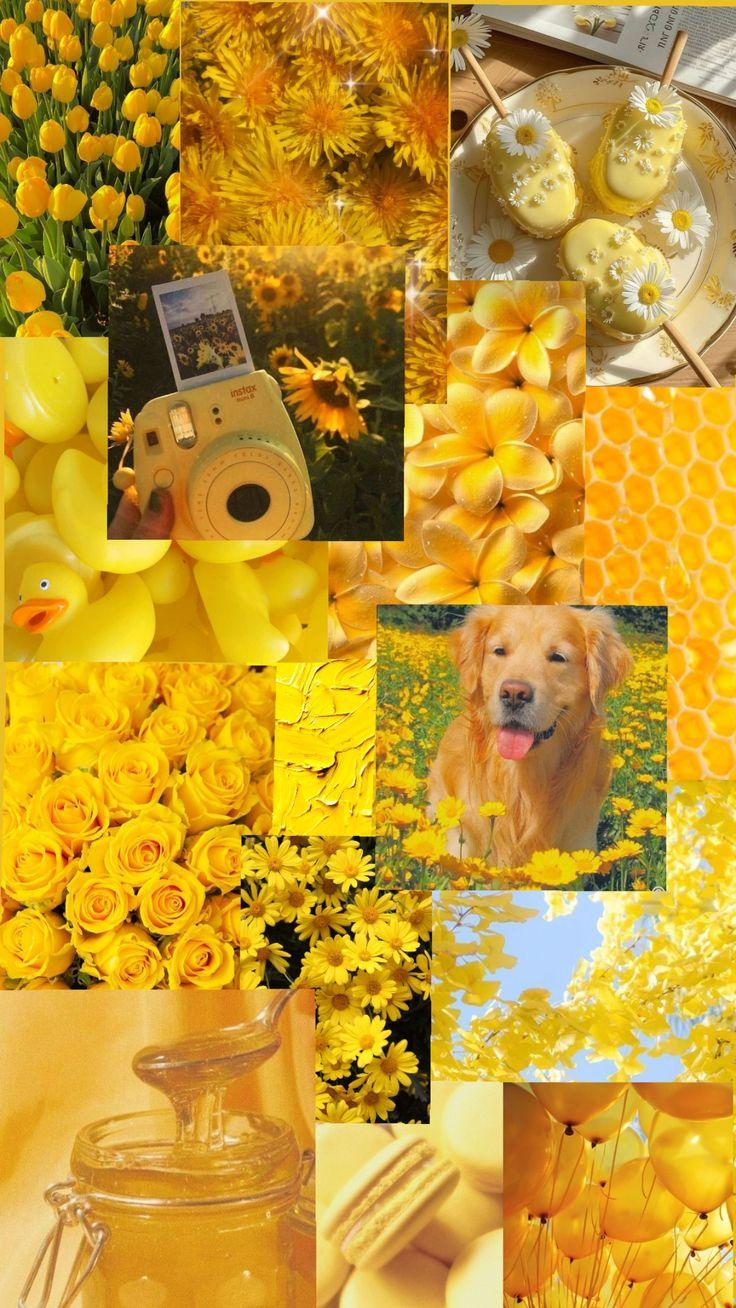 Sunny Yellow Floral Aesthetic Collage Wallpaper