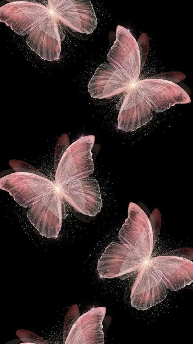 Floating Pink Butterflies Night Aesthetic