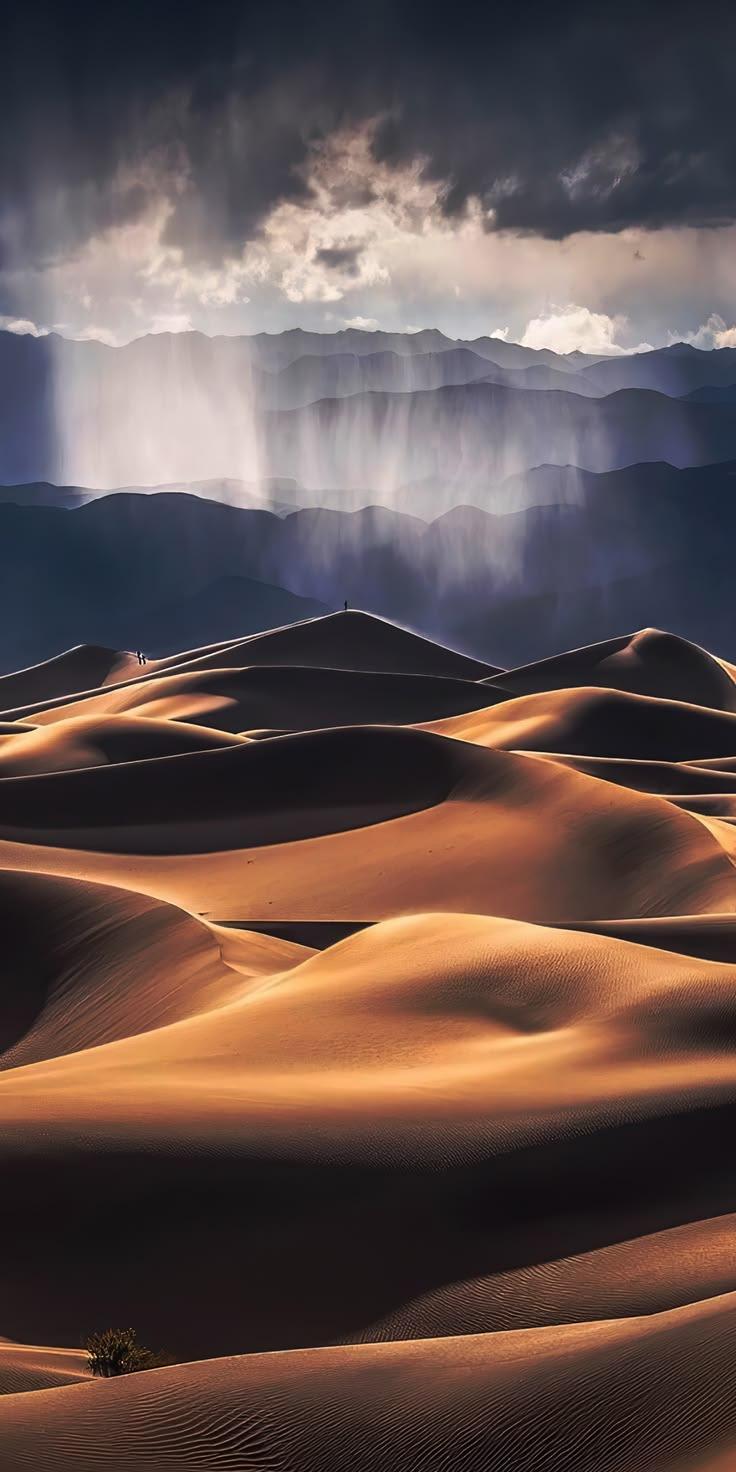 Golden Desert Dunes Wallpaper
