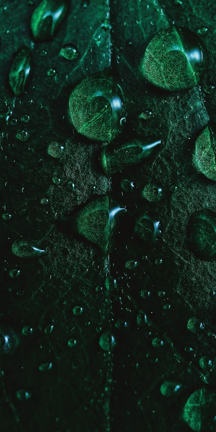 The Emerald Dewdrop Wallpaper