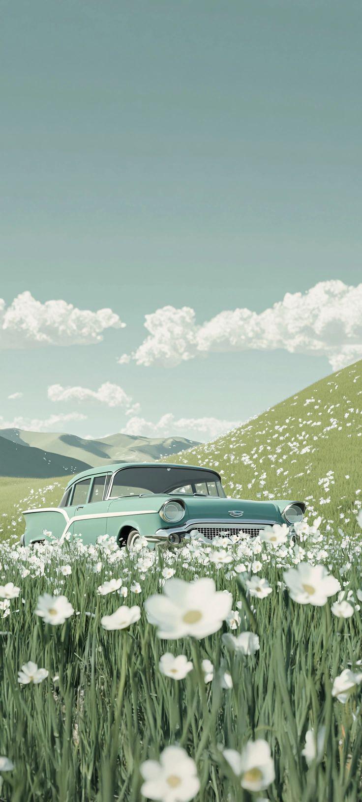 Mint Vintage Car Meadow Wallpaper