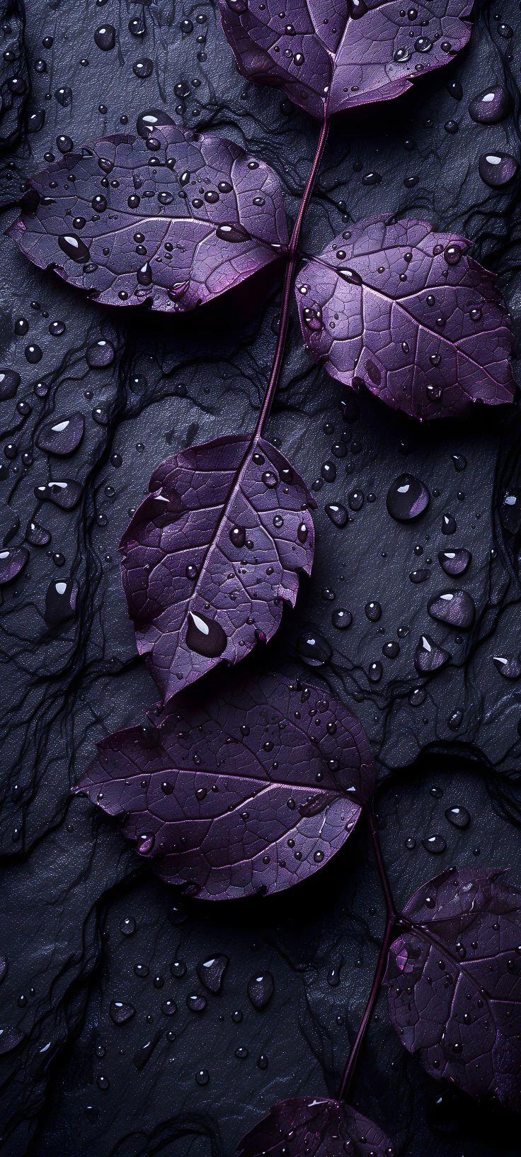 Dark Purple Leaves Aesthetic Wallpaper