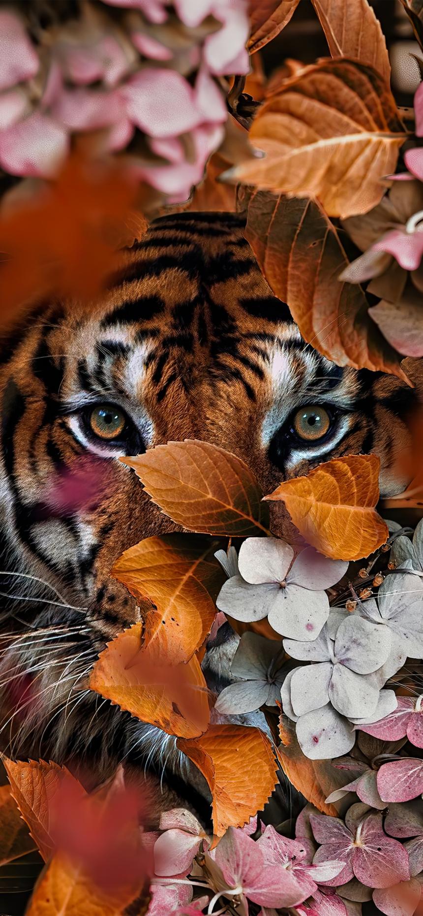 Majestic Tiger Among Autumn Flowers Wallpaper