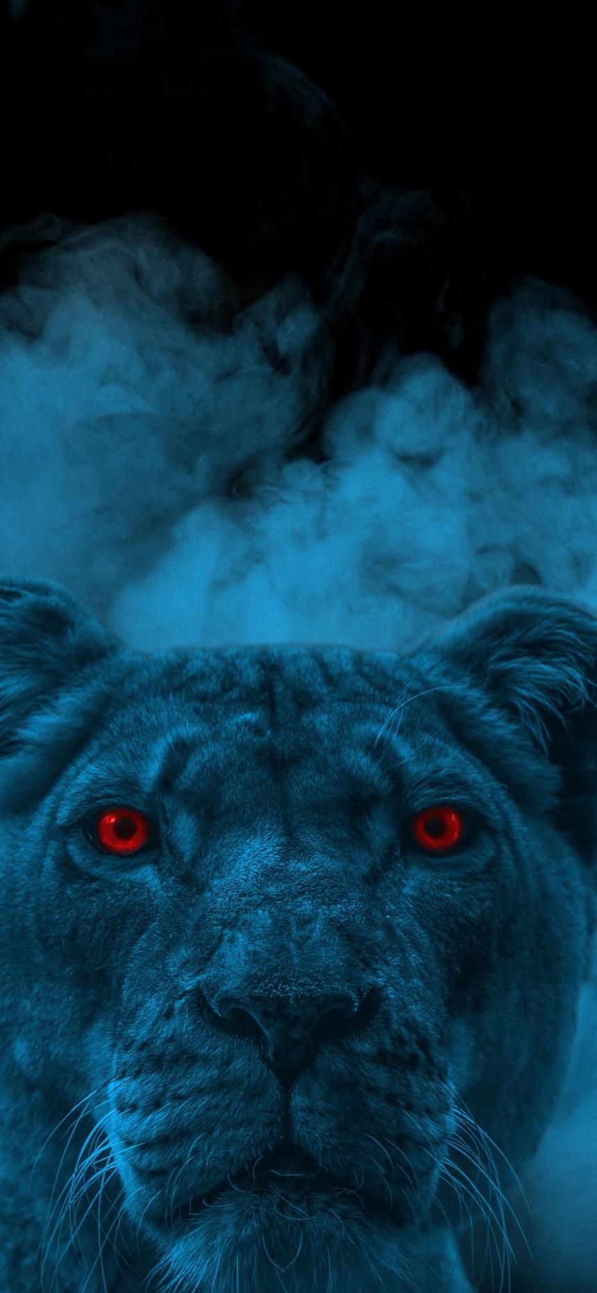Dark Blue Lion with Glowing Red Eyes – Mystical Predator Wallpaper