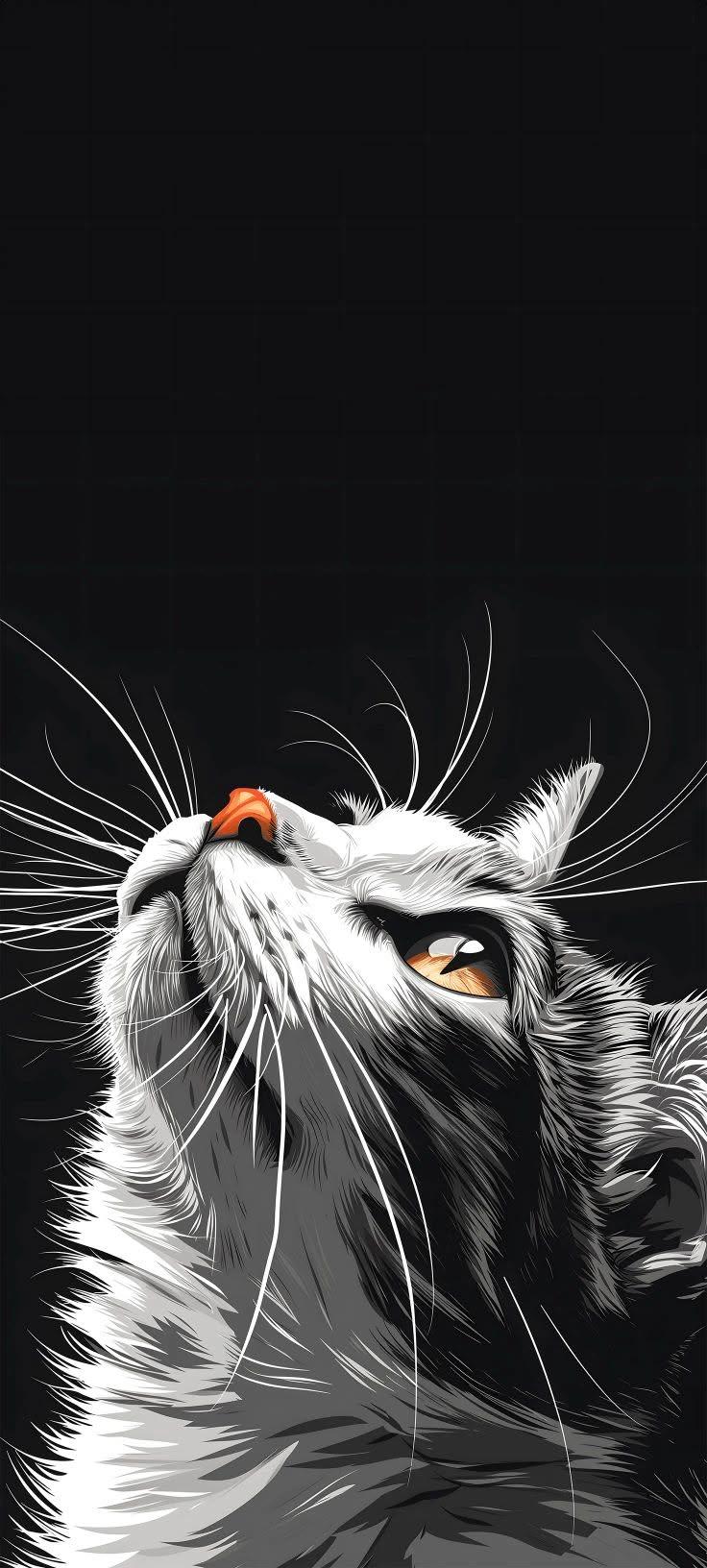 Artistic Long-Haired Cat Looking Up AMOLED Phone Wallpaper