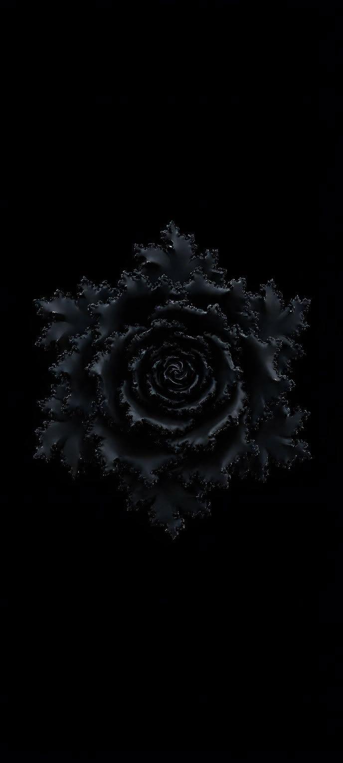 Black Rose Elegance Wallpaper