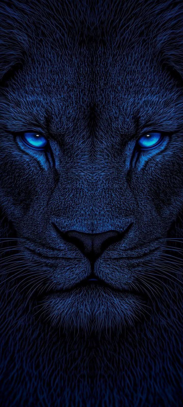 Blue-Eyed Dark Lion Wallpaper
