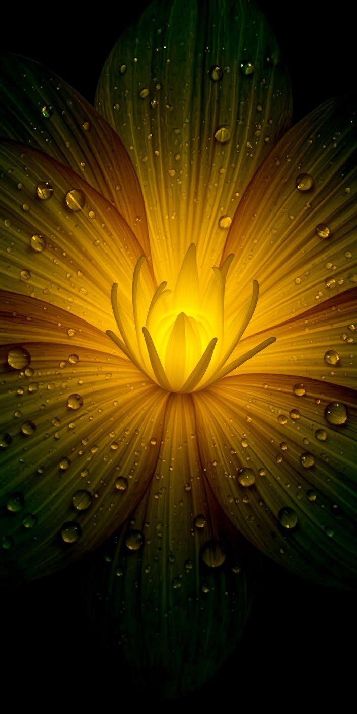 Golden Glowing Flower Wallpaper