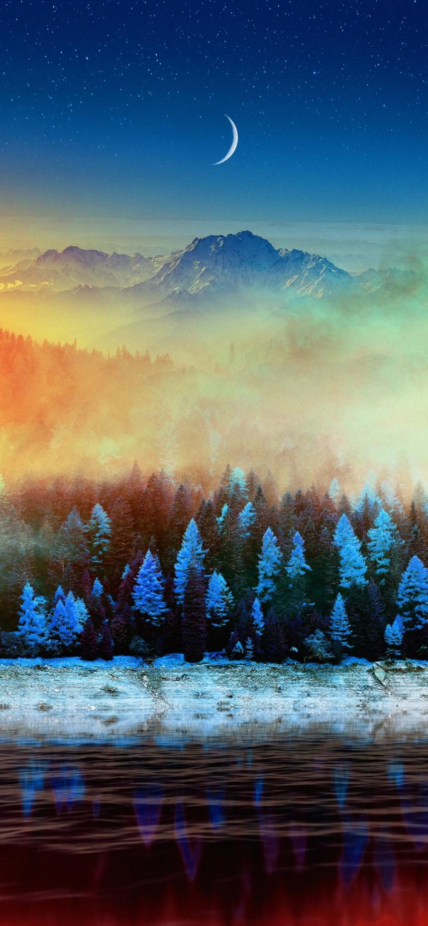 Dreamy Moonlit Winter Forest Wallpaper
