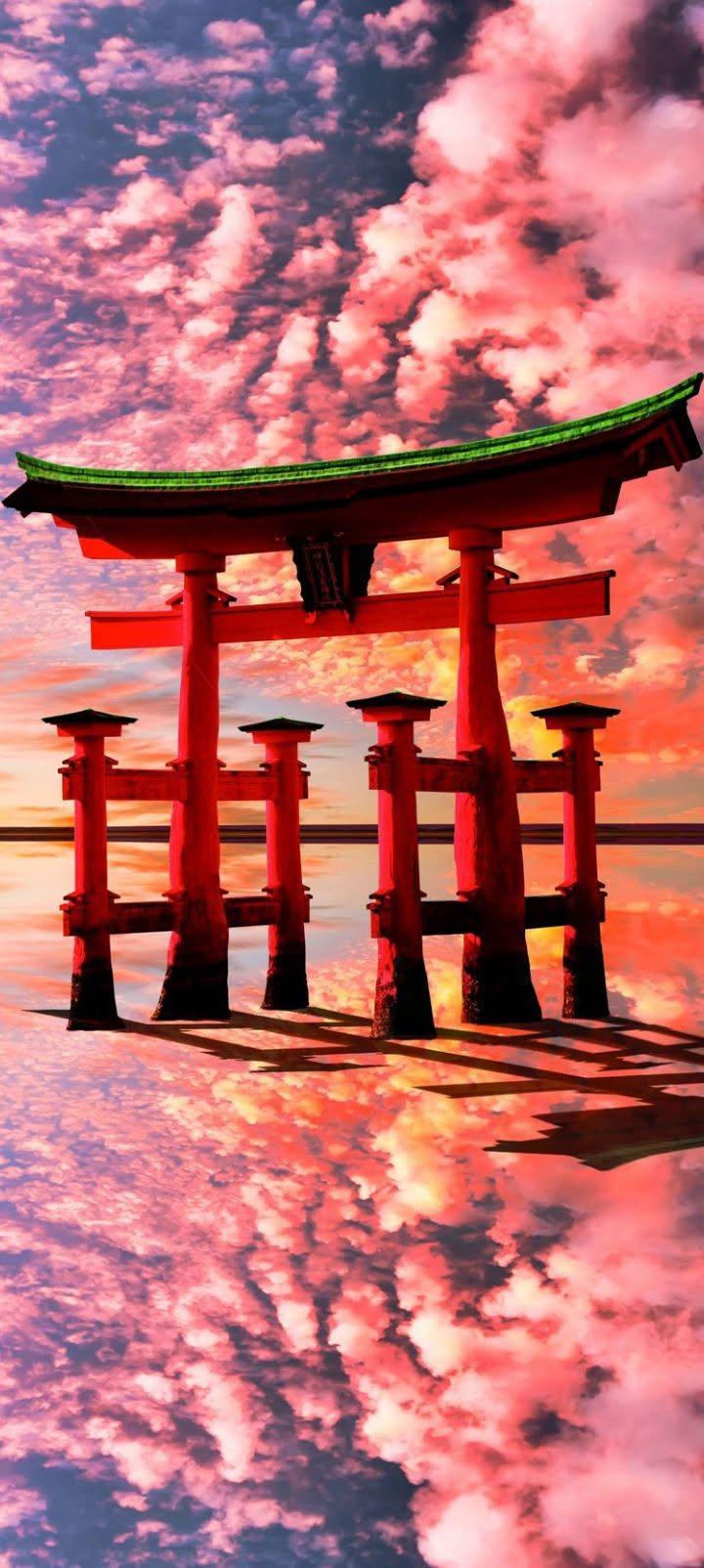 Moonlit Samurai Sakura Wallpaper