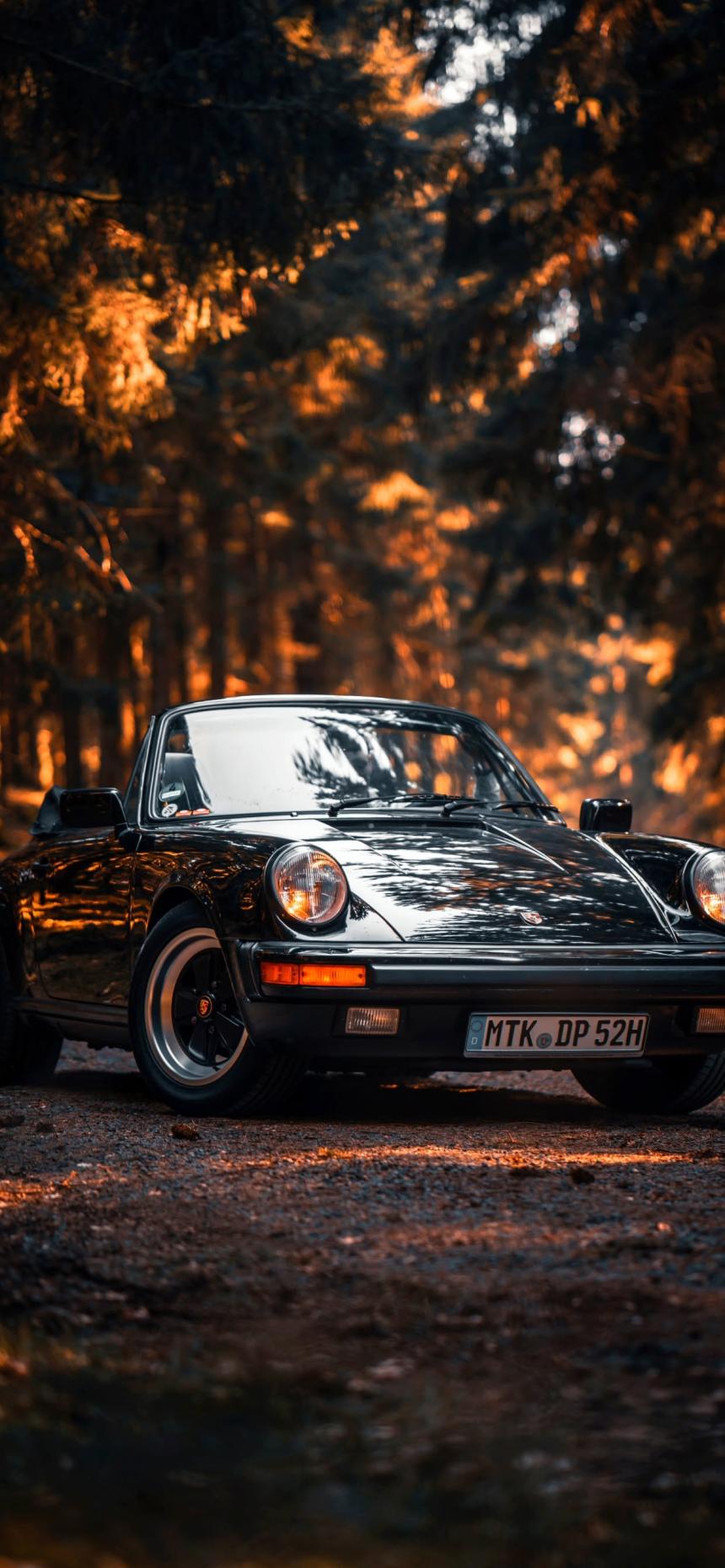 Classic Porsche Forest Wallpaper