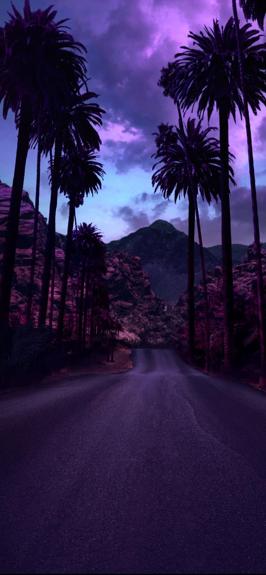 Purple Palm Road Aesthetic Wallpaper