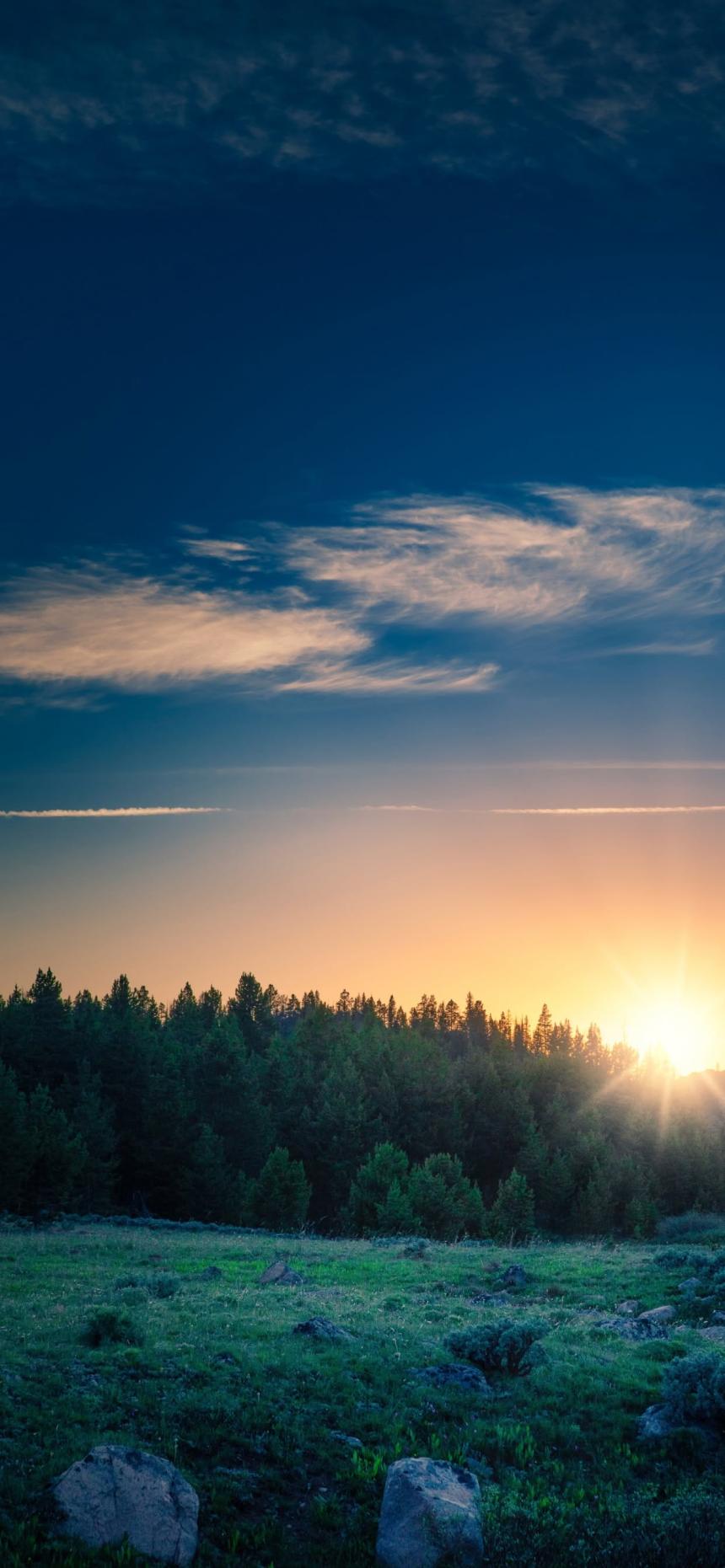 Peaceful Forest Sunrise Wallpaper 🌅🌲