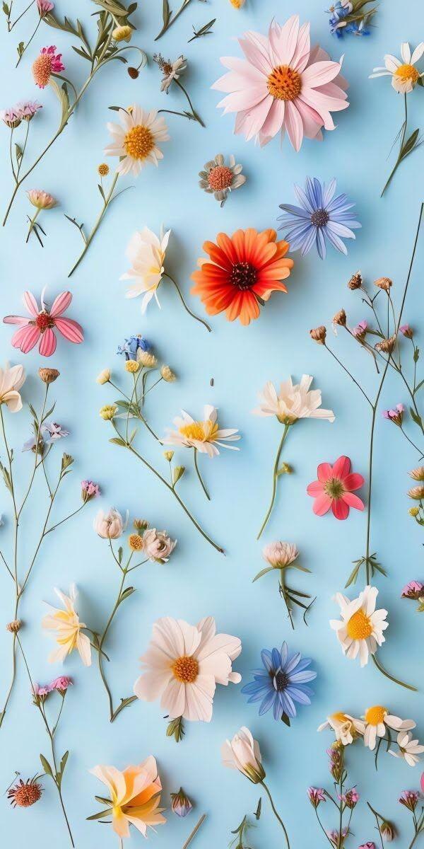 Pastel Wildflower Wallpaper 🌸💙