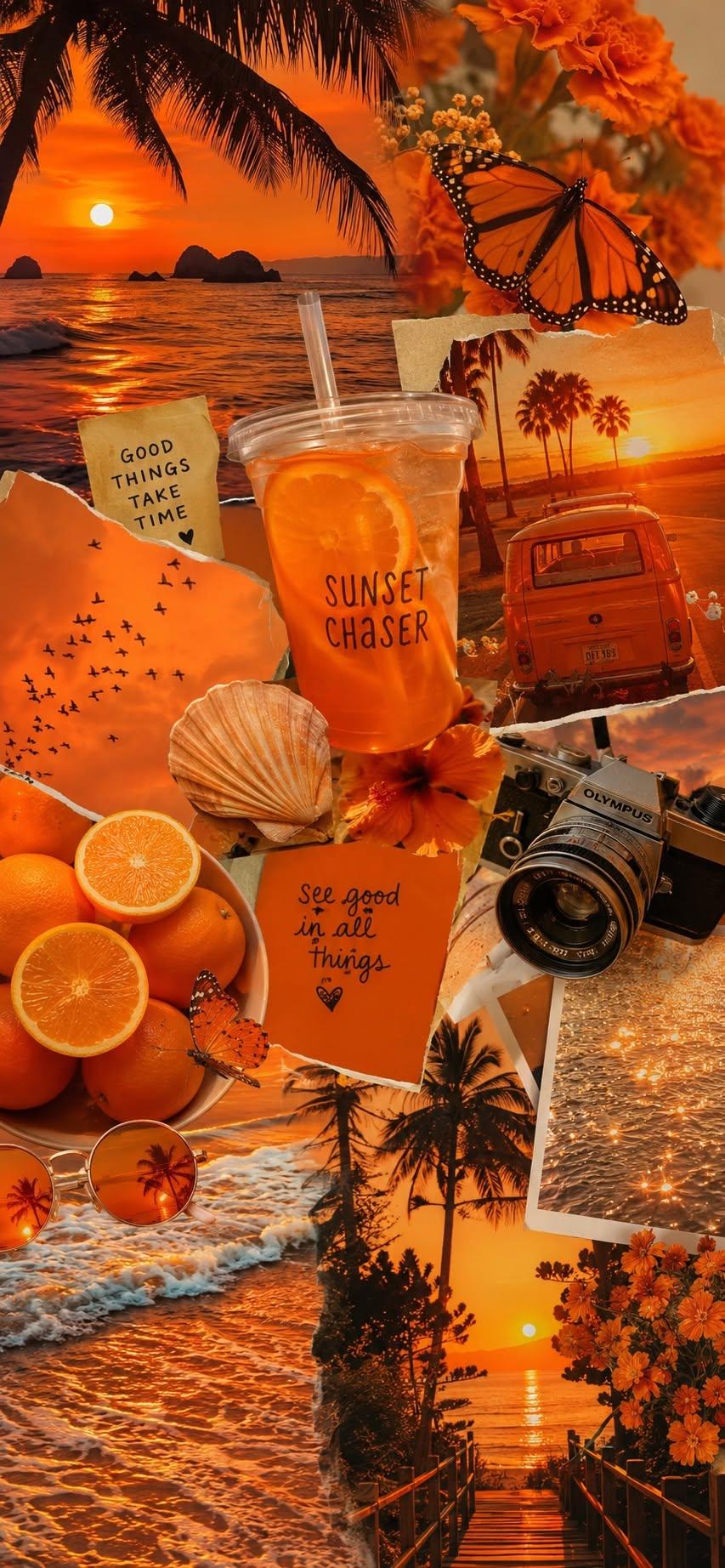 Sunset chaser wallpaper with orange beach, oranges, and butterfly collage