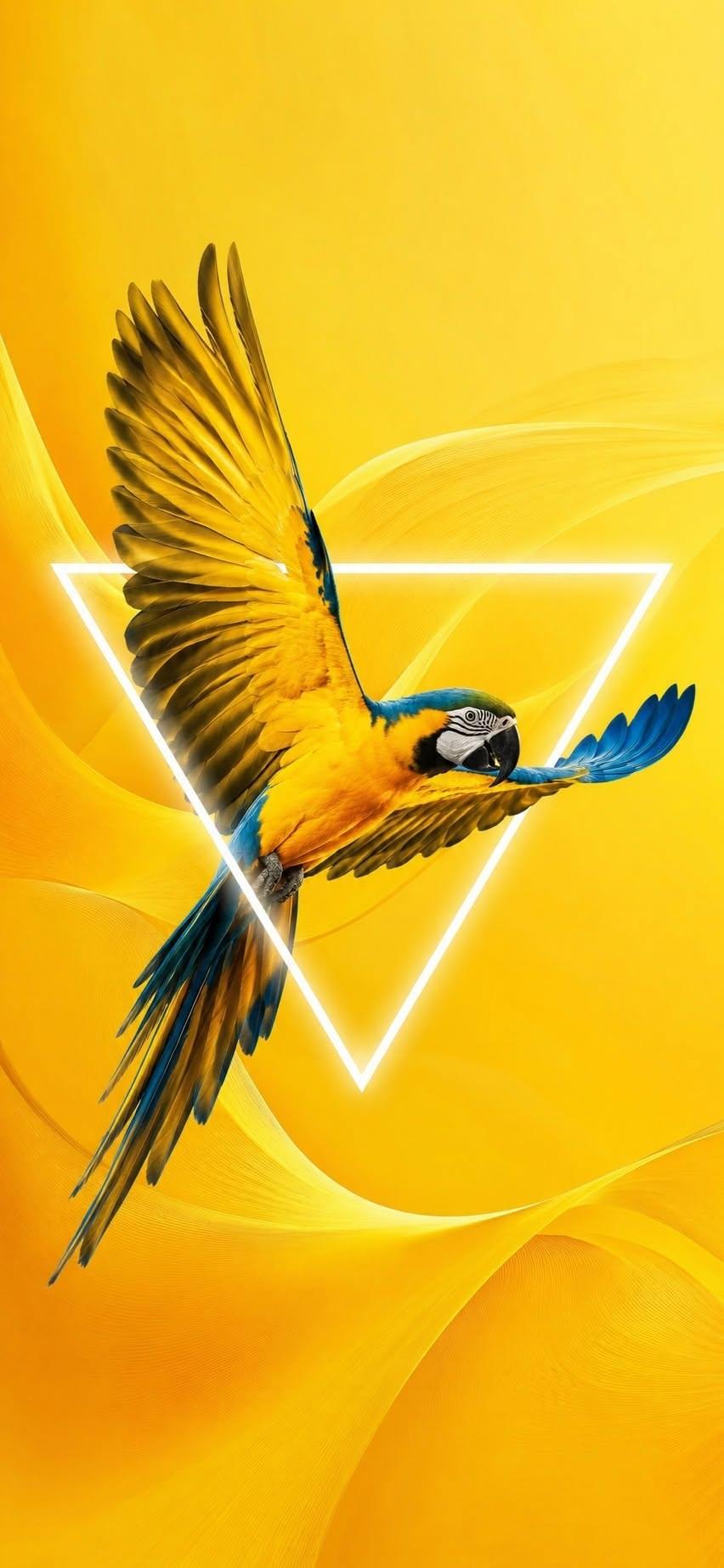 Macaw wallpaper flying through neon triangle on yellow