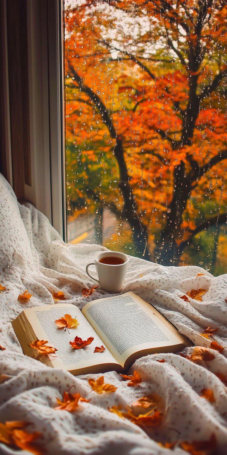 Cozy Autumn Reading by the Window